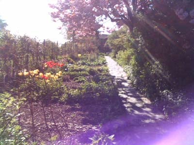 Photograph taken with a palmOne Zire 72 PDA showing a garden pathway surrounded by various flowers and plants, with sunlight causing lens flare on the image.