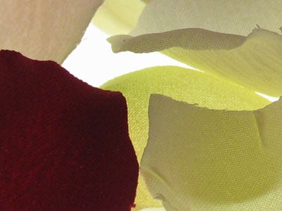 Close-up image produced by the Canon PowerShot Pro1 camera, displaying the texture and color details of fabric.