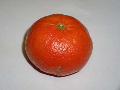 Close-up photo of a mandarin orange on a white background, potentially taken with a Pentax Optio SV digital camera to showcase image clarity.