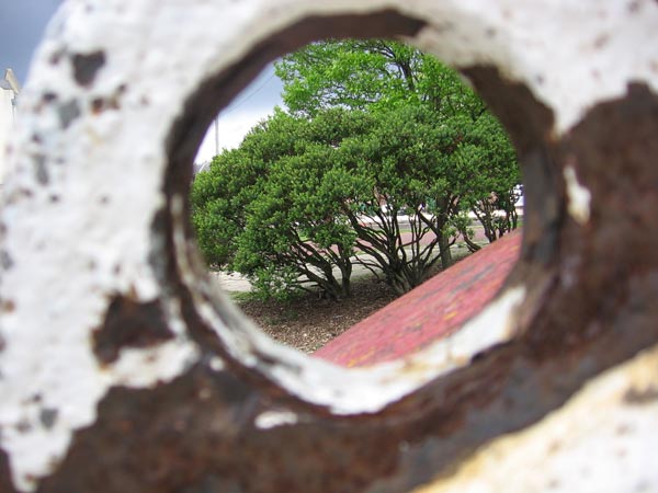 Creative shot taken through a circular hole with the Canon PowerShot A510 digital camera, focusing on a tree and landscape scene.