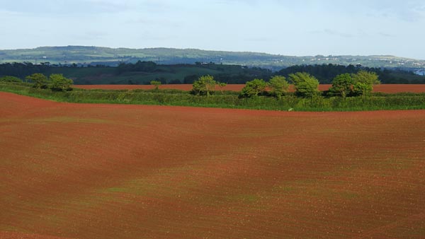 Landscape photo taken with Fujifilm FinePix F810 Zoom, showcasing rolling fields with varying shades of green and red, dotted with trees, under a partly cloudy sky.