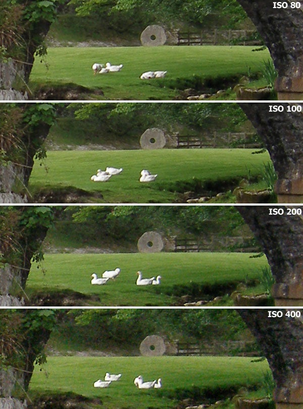 Comparison of four photos taken with the Olympus Camedia C-7070 camera at different ISO settings (ISO 80, 100, 200, and 400) showing a group of ducks on grass with decreased image quality as ISO increases.