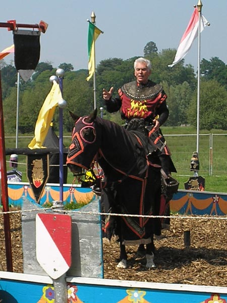 Photo taken with Olympus C-180 showing a person in medieval knight attire on a horse at a jousting event, with colorful banners and shields in the background.A low-resolution photo featuring an individual in costume with a blurry background, possibly demonstrating image quality of the Olympus C-180 camera.