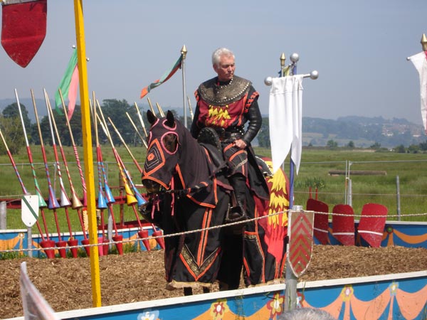 Photo demonstrating Sony Cyber-shot DSC-P200 image quality.Person on horseback in medieval jousting attire with lances in background.