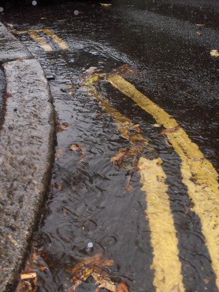 Photo taken with the HP Photosmart M22 Digital Camera depicting a wet street scene with double yellow lines and autumn leaves on the pavement.
