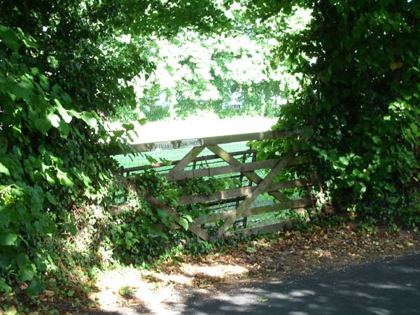 Blurred outdoor scene with foliage and a wooden fence, taken with the Pentax Optio S5z to demonstrate camera quality.A serene outdoor scene captured with the Pentax Optio S5z showing a wooden gate at the entrance of a leafy path.