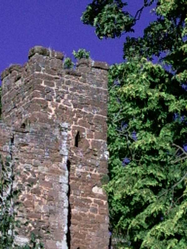 Photo taken with the Goodmans G-Shot 3027TFT budget digital camera showing an old stone tower with greenery in the foreground against a clear blue sky, demonstrating the camera's image quality and color reproduction.Close-up of a low-resolution image taken with the Goodmans G-Shot 3027TFT showing pixelated foliage and part of a rock structure against a blurred purple background, exemplifying image quality at full zoom or high magnification.