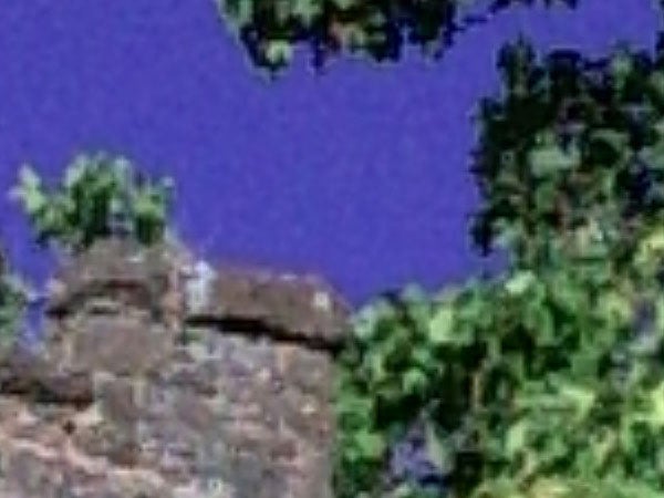 Close-up of a low-resolution image taken with the Goodmans G-Shot 3027TFT showing pixelated foliage and part of a rock structure against a blurred purple background, exemplifying image quality at full zoom or high magnification.