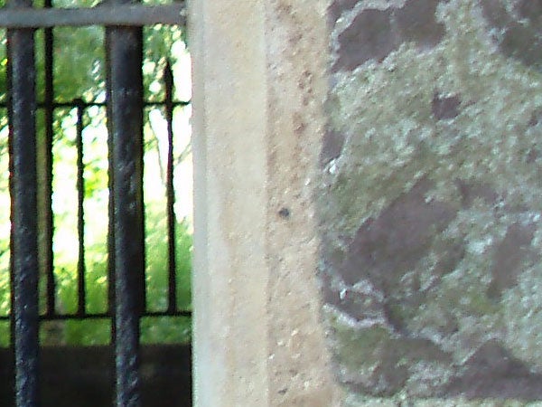 Blurry photo of a stone wall and a metal gate, possibly taken with Olympus µ [mju:] Digital 800 camera, demonstrating image clarity issues.