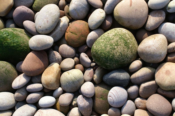 A variety of smooth multicolored pebbles with different shapes and sizes, some with visible lines and patterns, lit by natural sunlight.