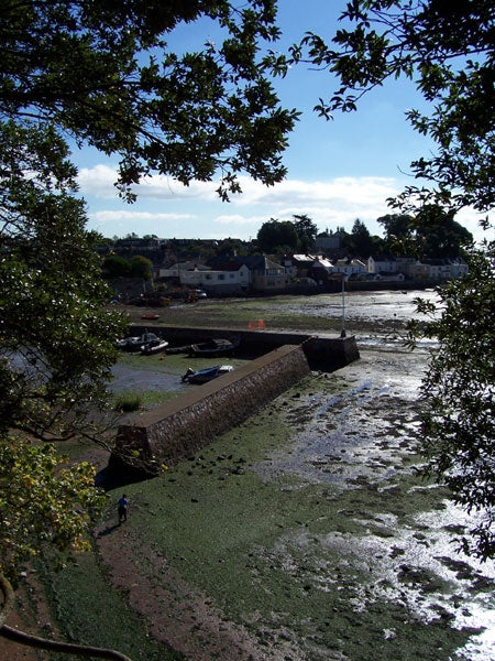 A coastal landscape scene with a view through overhanging tree branches, showcasing a low tide with exposed seaweed-covered ground, a stone wall leading to a small jetty, a few moored boats, and houses in the distance under a partly cloudy sky.