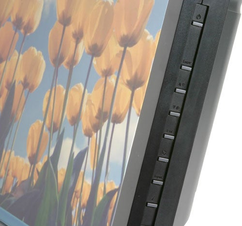 Close-up of a BenQ FP202W 20-inch widescreen monitor displaying a colorful image of tulips, with focus on the right side control buttons.