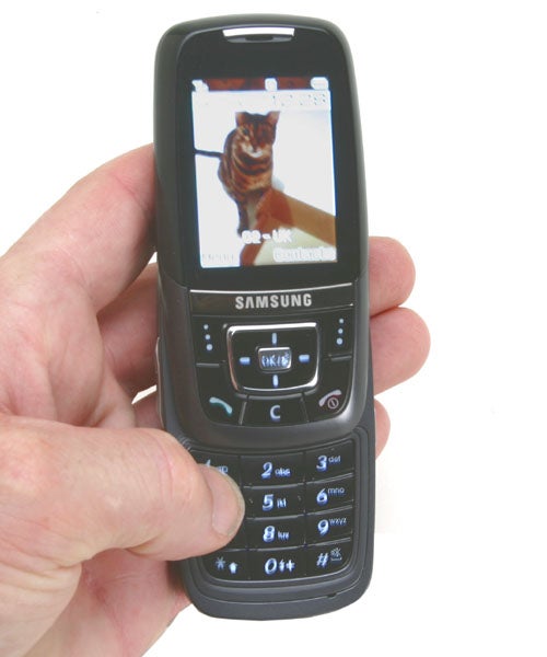 A hand holding a Samsung SGH-D600 mobile phone with the slider open, displaying a picture of a cat on the screen.
