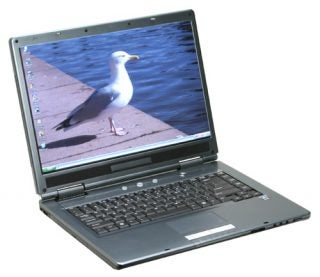 Alienware Area-51 m5500 laptop with screen displaying a desktop wallpaper of a seagull standing by the water.