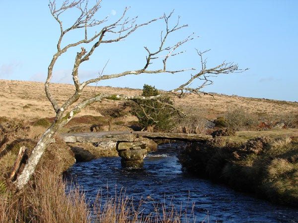 Landscape with stream and bare tree, clear blue sky.