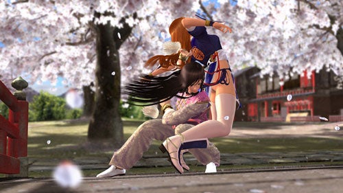 Screenshot from the video game Dead or Alive 4 showing two female characters in a combat scene under cherry blossom trees.