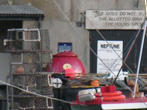 Close-up photograph displaying the zoom capabilities of the Nikon CoolPix 8800 camera, featuring a cluttered seaside scene with various objects including a lobster trap, a buoys, and a sign reading 
