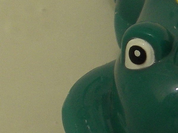 Close-up photo of a green rubber duck submerged in water, likely taken with a Pentax Optio WPi waterproof camera to demonstrate its underwater photography capability.