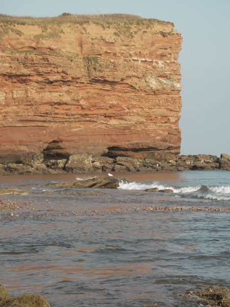 A photograph showing a rugged coastline with a large red sandstone cliff, waves gently breaking on the shore, and rocks scattered at the water's edge, taken with a Pentax Optio WPi waterproof camera.