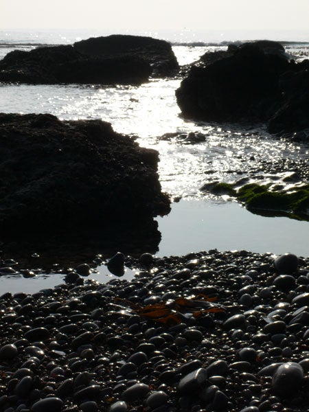 Photograph taken with a Panasonic Lumix DMC-LX1, showcasing a beach scene with glistening water, rocks, and pebbles in high contrast lighting conditions.