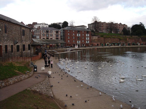 Riverfront scene with birds taken by Sony Cyber-shot DSC-M2.