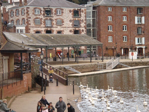 Photo of swans by a river near old industrial buildings