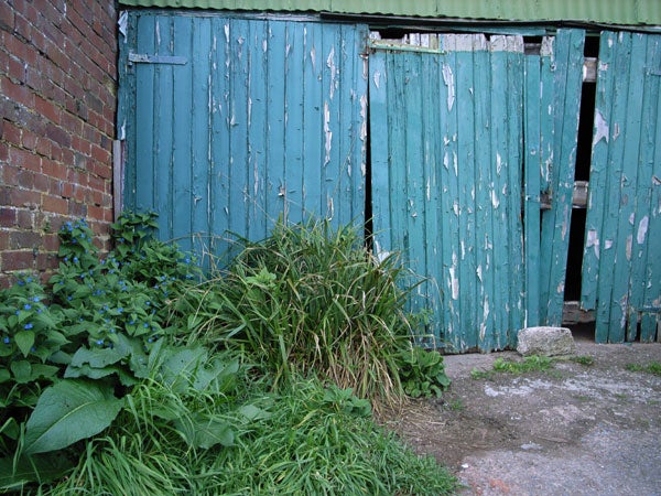 A photograph capturing an old weathered blue wooden gate partially open, with overgrown green vegetation on the side and a brick wall on the left, possibly taken with a Ricoh GR Digital camera to demonstrate image quality.