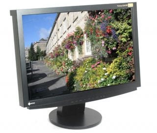 Eizo FlexScan S2410W LCD monitor displaying a vibrant floral image, showcasing screen color and clarity.