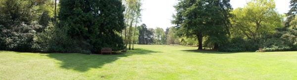 Panoramic photo of a sunny park with lush green grass and a variety of trees taken with the Kodak EasyShare V610 camera.