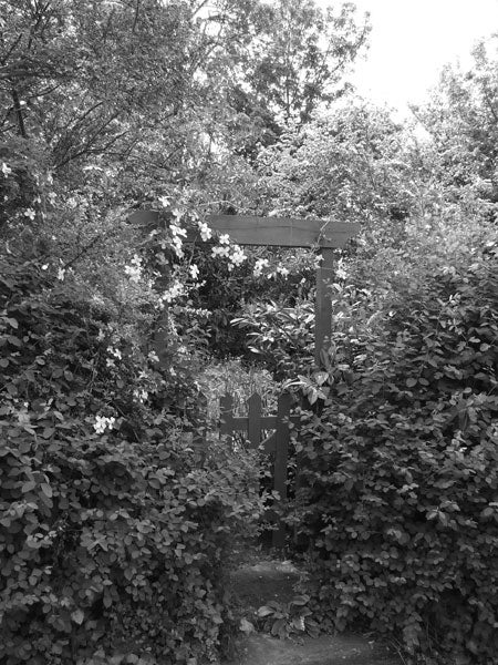 Black and white photograph of a lush garden with an arched trellis, captured by a Fujifilm FinePix S5600, illustrating the camera's monochrome shooting capability.