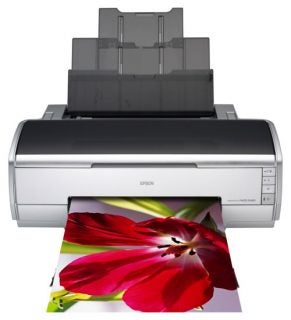 An Epson Stylus Photo R2400 inkjet printer with a high-quality, color-printed photo of a red flower emerging from it.