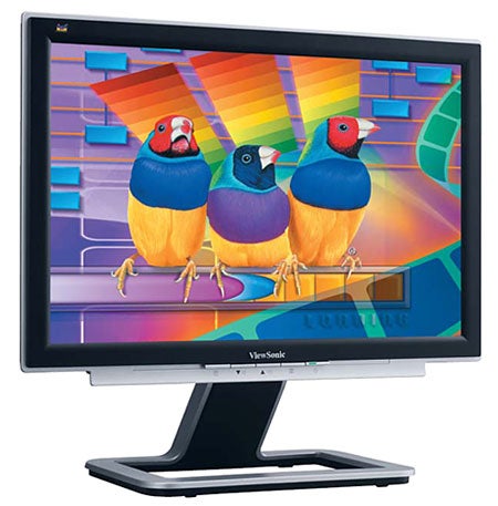 ViewSonic monitor displaying colorful bird graphics