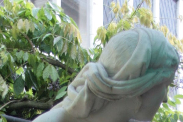 Close-up photo of a stone statue's face covered with draped cloth, with green foliage in the background, possibly taken with a Canon EOS 30D Digital SLR to demonstrate the camera's depth of field capabilities.