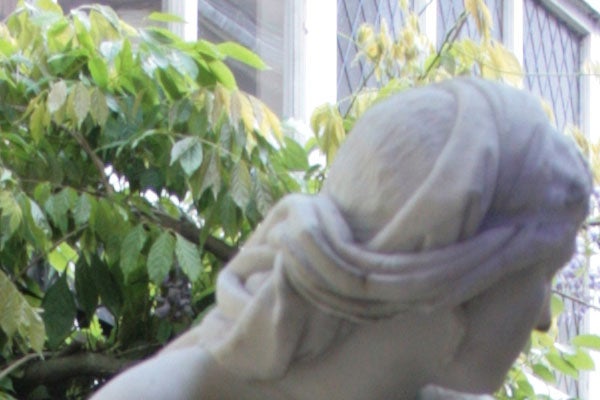 Close-up of a marble statue with out-of-focus foliage and a building in the background, demonstrating the shallow depth of field capability of the Canon EOS 30D Digital SLR camera.