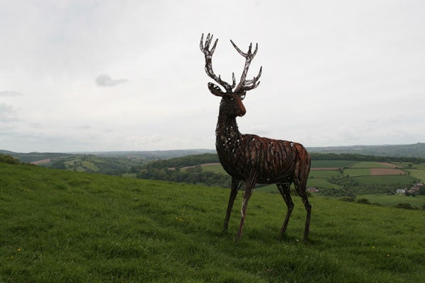 A metal stag sculpture stands on a grassy hill with a cloudy sky and a scenic view of rolling hills and fields in the background.