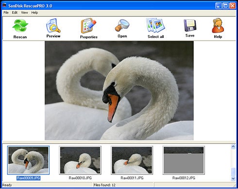 An image showing the SanDisk RescuePRO 3.0 software interface on a computer screen with thumbnail previews of recovered photos featuring swans.