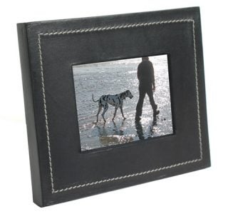 Parrot Bluetooth Photo Viewer displaying a man and dog on beach.