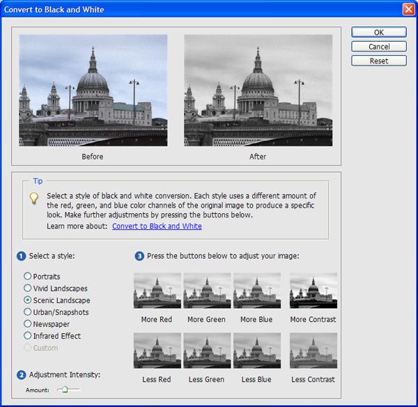 Screenshot of Adobe Elements software interface showing the 'Convert to Black and White' feature with a comparison view of a color photo of a historical dome building converted to black and white, alongside adjustment options for color and contrast.