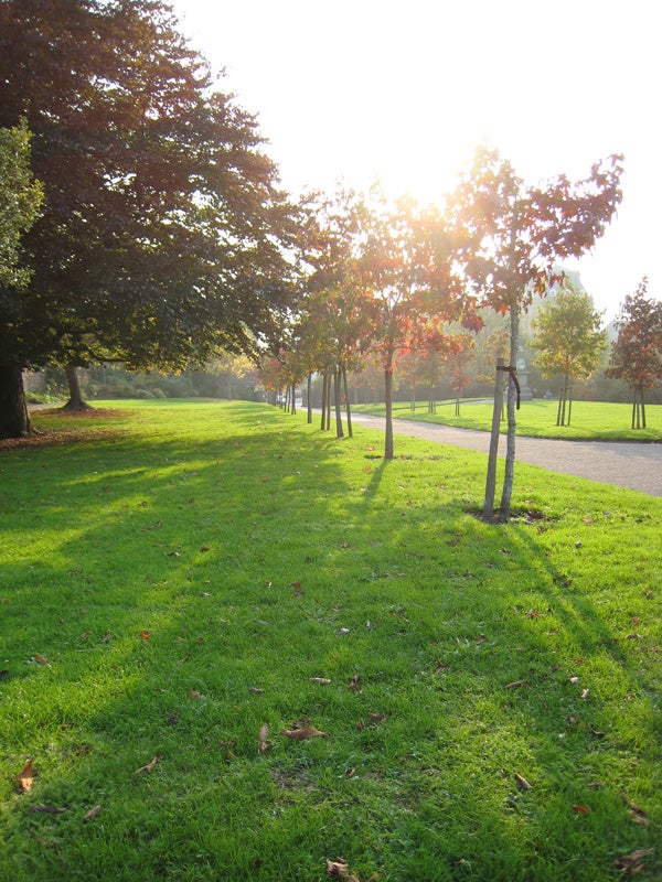 A photograph taken by Canon Digital IXUS 850 IS showing a park scene with trees, a grassy area with shadows cast by the sunlight, and a walkway on the side, demonstrating the camera's color capture and light management during a sunny day.