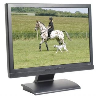 Iiyama ProLite E2200WS 22-inch widescreen LCD monitor displaying an image of a rider on a horse accompanied by a dog, both featuring distinctive spotted coats, set against a rural backdrop.