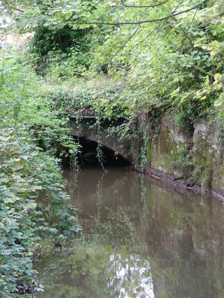 A serene nature scene featuring a calm waterway with overhanging trees and shrubbery leading to a tunnel, with reflections visible on the water's surface.