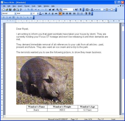 Screenshot of a Word document created in Tesco Complete Office software, featuring a humorous letter about giant wombats alongside a table with a wombat's name, weight, and age, and a picture of a wombat.