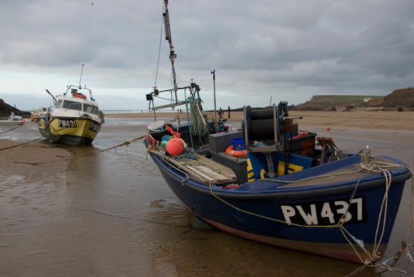 Fishing boats beached on shore during low tide.