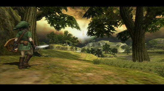 Screenshot from The Legend of Zelda: The Twilight Princess showing the protagonist Link from behind, equipped with a sword and shield, standing at the edge of a forest looking out towards a sunlit field.
