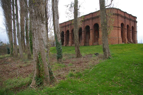 A photo taken with a Pentax K100D Digital SLR, showing a series of trees in the foreground with ivy climbing one trunk and a red brick building with arches in the background under an overcast sky.