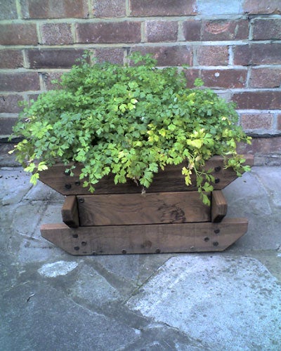 The image features a wooden planter filled with lush green plants sitting on a concrete surface in front of a brick wall.