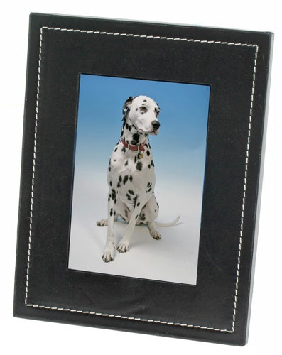 A Parrot 7in Bluetooth Photo Viewer on a white background displaying a digital image of a Dalmatian dog sitting down with a blue sky backdrop.