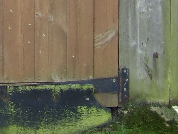 Image of a wooden gate with visible signs of weathering and a moss-covered lower hinge, showcasing the Fujifilm FinePix F20's image quality in natural lighting conditions.