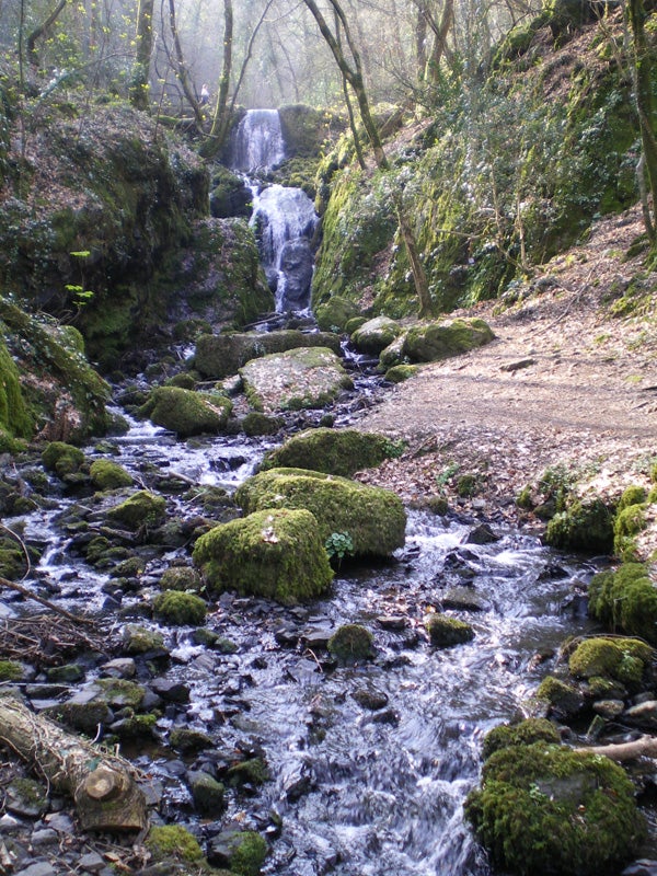 A serene forest waterfall flowing over moss-covered rocks with a sunlight filtering through the trees, possibly taken with a Pentax Optio M30 digital camera.