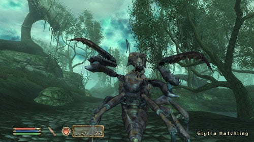 Screenshot from The Elder Scrolls IV: Shivering Isles showing an in-game character facing an Elytra Hatchling in a forested area with eerie greenish lighting and a user interface at the bottom indicating health, magic, and stamina bars.